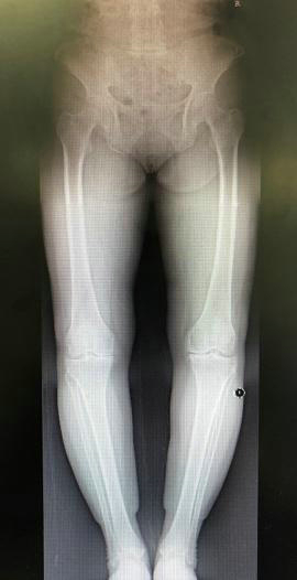 图片2.jpg 图片2.jpg