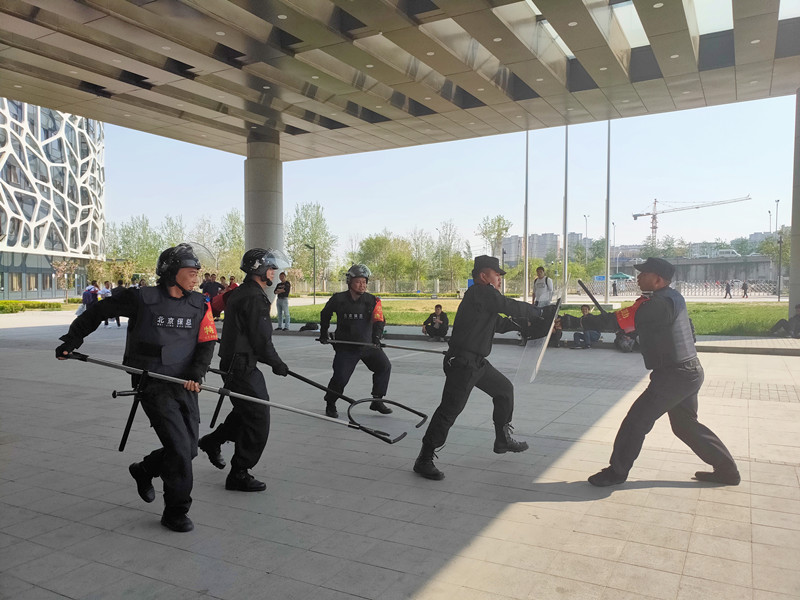 186369117229513891038006414.jpg 186369117229513891038006414.jpg