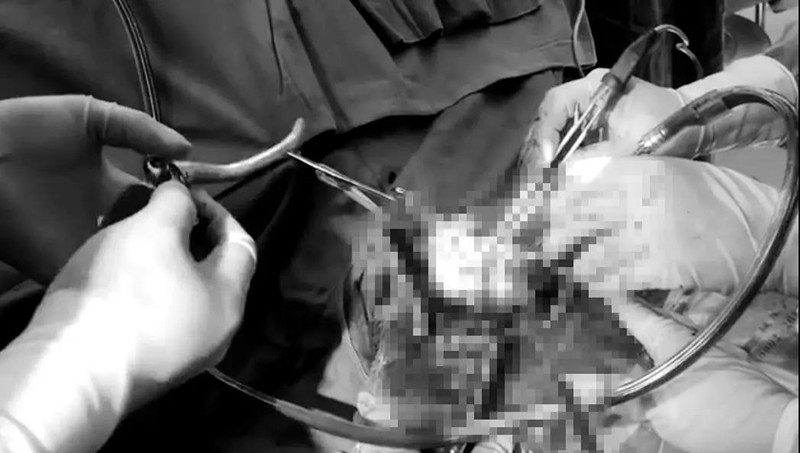 微信图片_20190828145736_副本.jpg 微信图片_20190828145736_副本.jpg