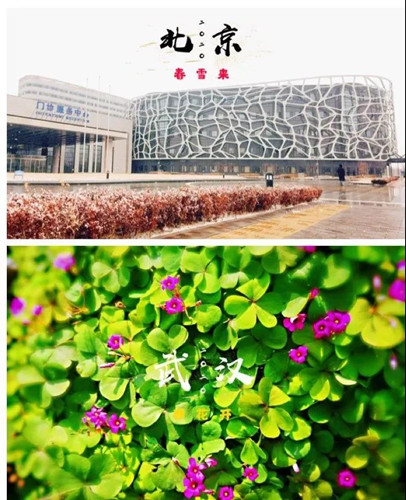 微信图片_20200205183658_副本.jpg 微信图片_20200205183658_副本.jpg