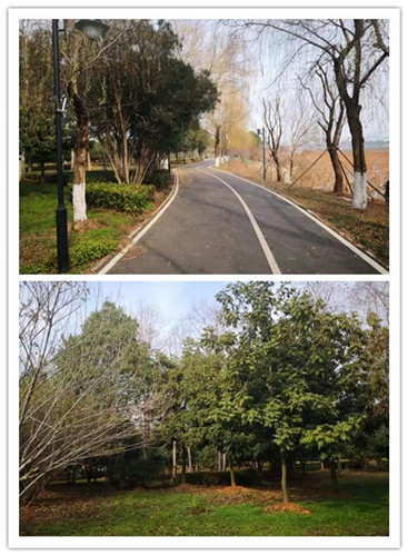 initpintu_副本_副本.jpg initpintu_副本_副本.jpg