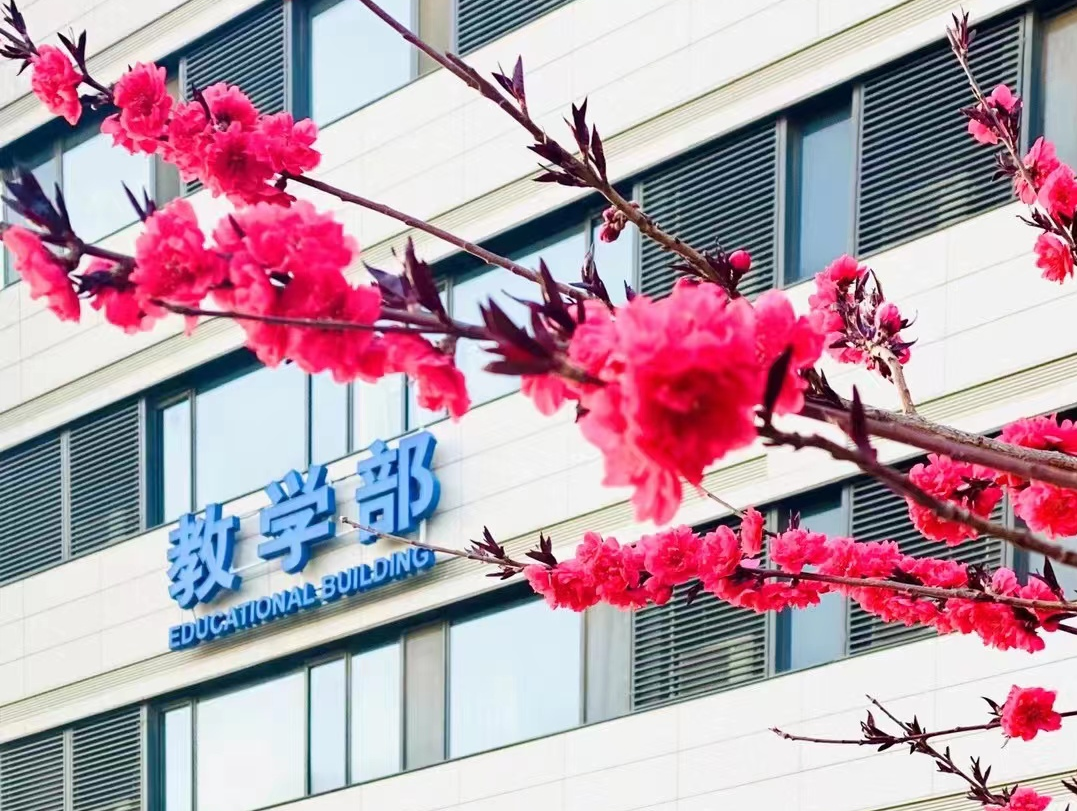 451e2cc5aec5e7f817976dd5ee4ff470.png 451e2cc5aec5e7f817976dd5ee4ff470.png