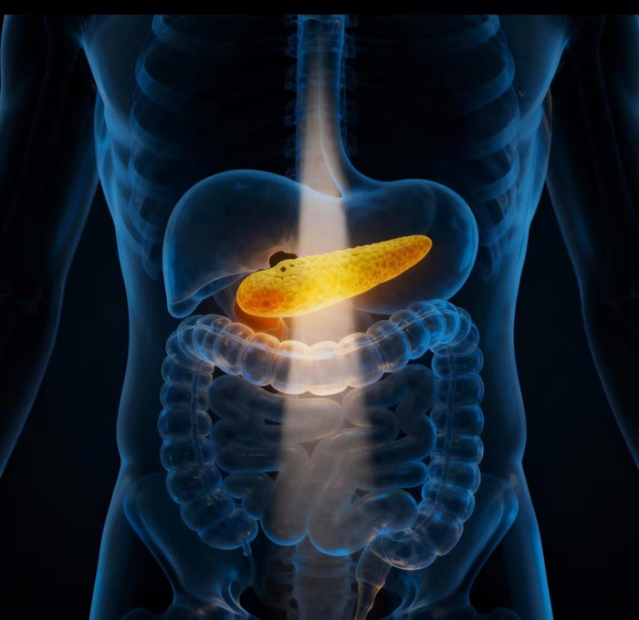 图片1.jpg 图片1.jpg